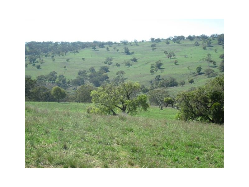 HILLSBOROUGH -, Coolah NSW 2843
