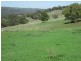 HILLSBOROUGH -, Coolah NSW 2843