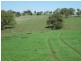 HILLSBOROUGH -, Coolah NSW 2843