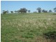 HILLSBOROUGH -, Coolah NSW 2843