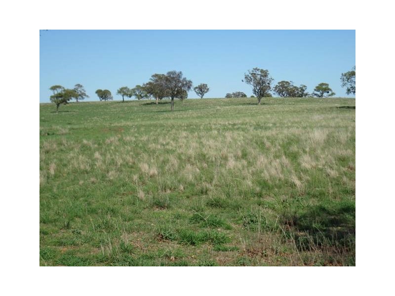 HILLSBOROUGH -, Coolah NSW 2843