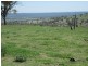 HILLSBOROUGH -, Coolah NSW 2843