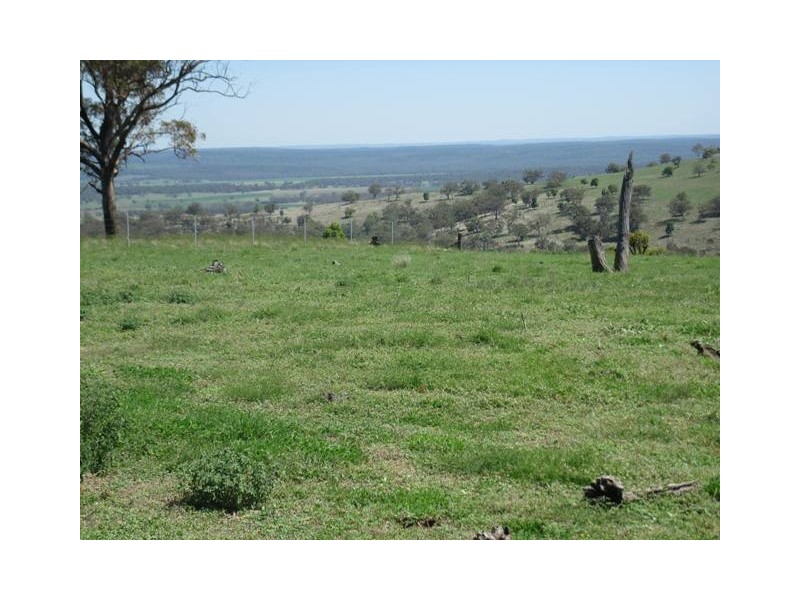 HILLSBOROUGH -, Coolah NSW 2843