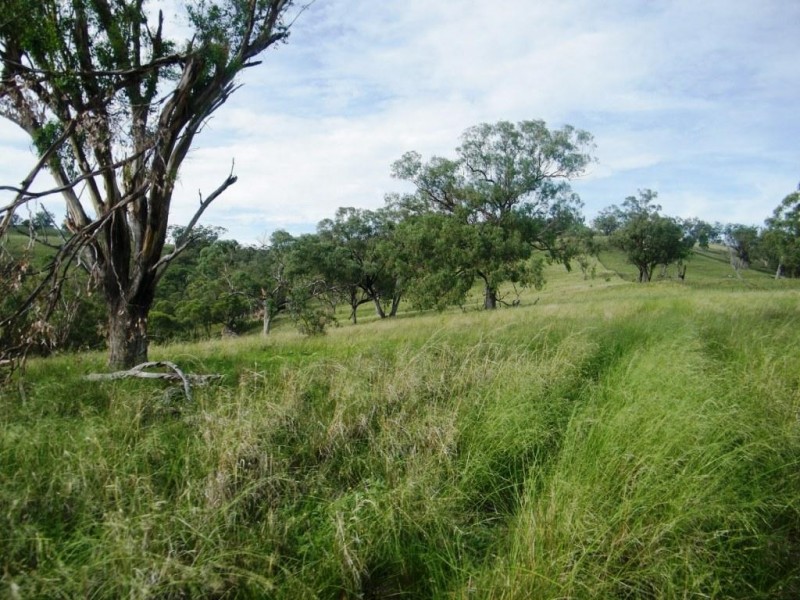 “Arramlu” Swinging Ridges Rd, Willow Tree NSW 2339