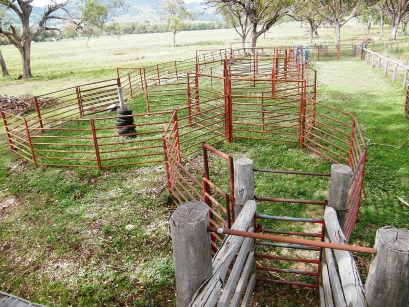 “Arramlu” Swinging Ridges Rd, Willow Tree NSW 2339