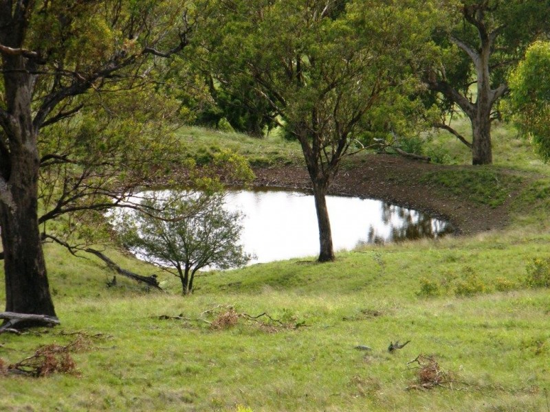 “Arramlu” Swinging Ridges Rd, Willow Tree NSW 2339