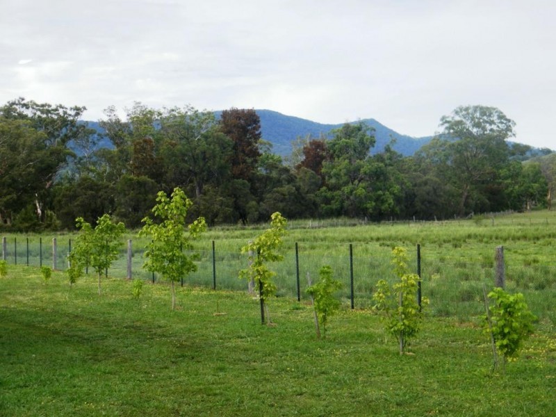 “Arramlu” Swinging Ridges Rd, Willow Tree NSW 2339