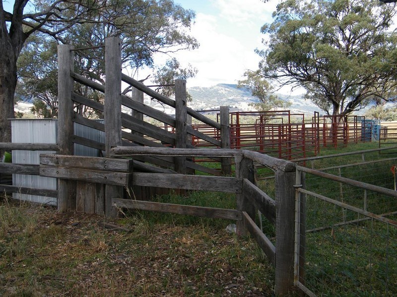 “Arramlu” Swinging Ridges Rd, Willow Tree NSW 2339