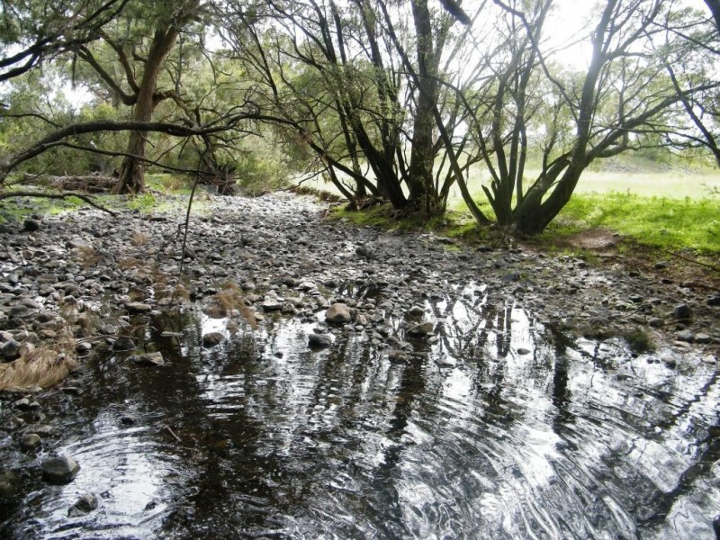 “Arramlu” Swinging Ridges Rd, Willow Tree NSW 2339