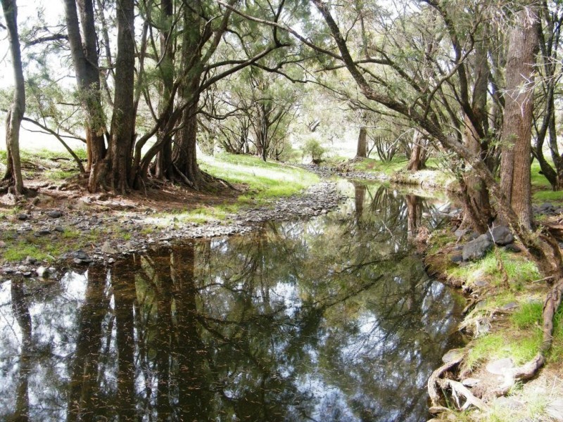 “Arramlu” Swinging Ridges Rd, Willow Tree NSW 2339