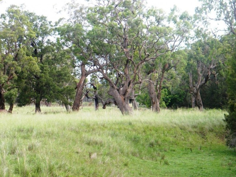 “Arramlu” Swinging Ridges Rd, Willow Tree NSW 2339