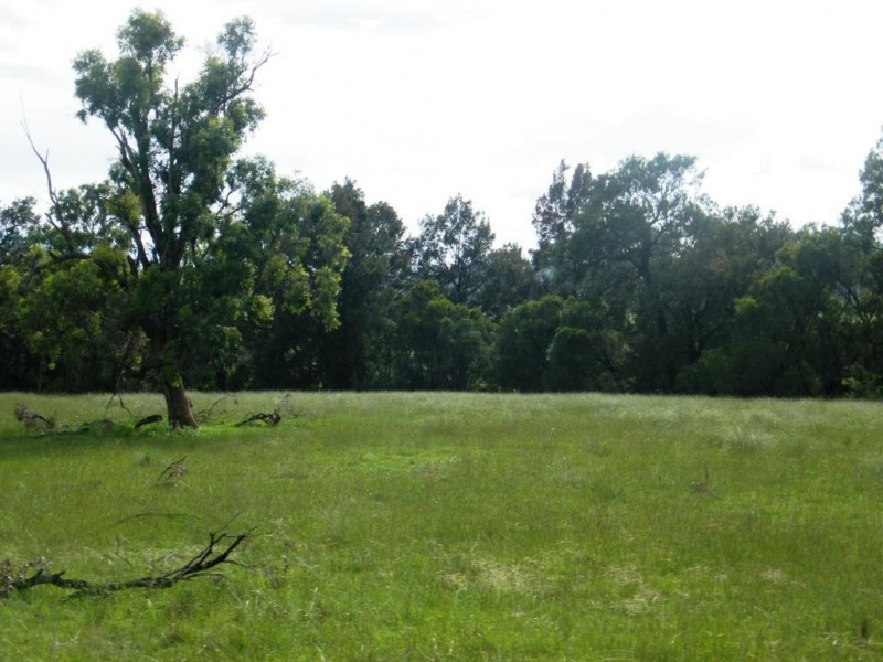 “Arramlu” Swinging Ridges Rd, Willow Tree NSW 2339