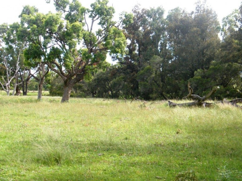 “Arramlu” Swinging Ridges Rd, Willow Tree NSW 2339