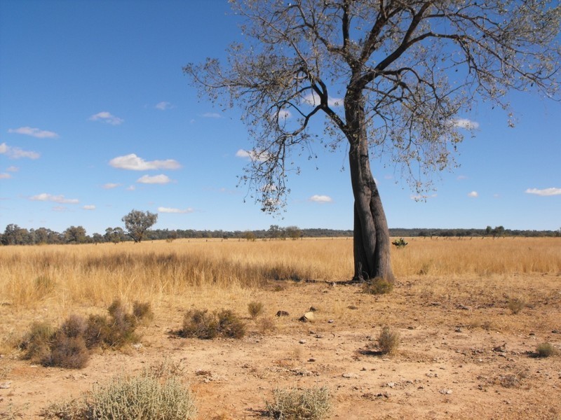 KALALAH Bedwell Downs Road, Yetman NSW 2410