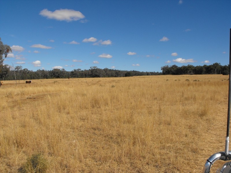 KALALAH Bedwell Downs Road, Yetman NSW 2410