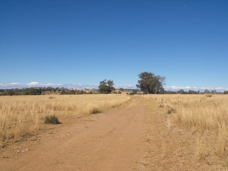 KALALAH Bedwell Downs Road, Yetman NSW 2410