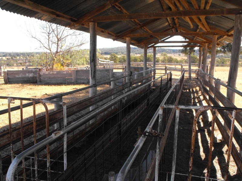 KALALAH Bedwell Downs Road, Yetman NSW 2410