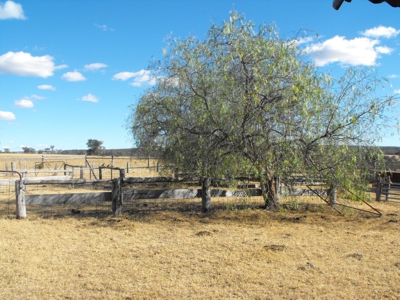 KALALAH Bedwell Downs Road, Yetman NSW 2410