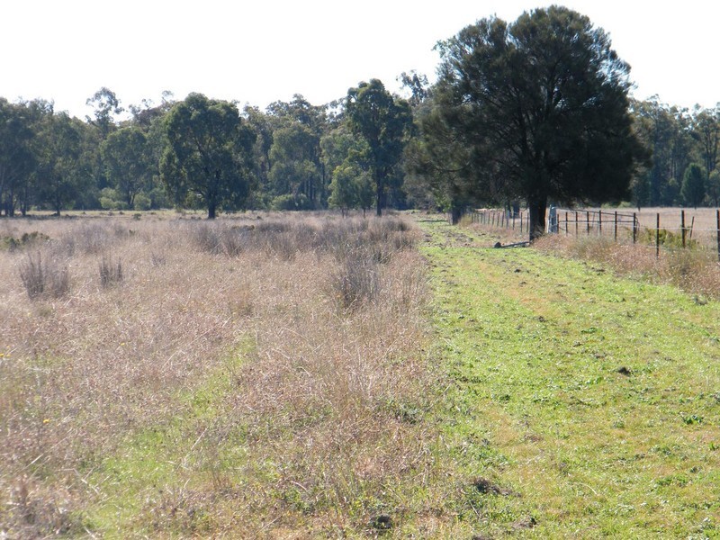 ACEVAN, QUIRINDI /, Gunnedah NSW 2380