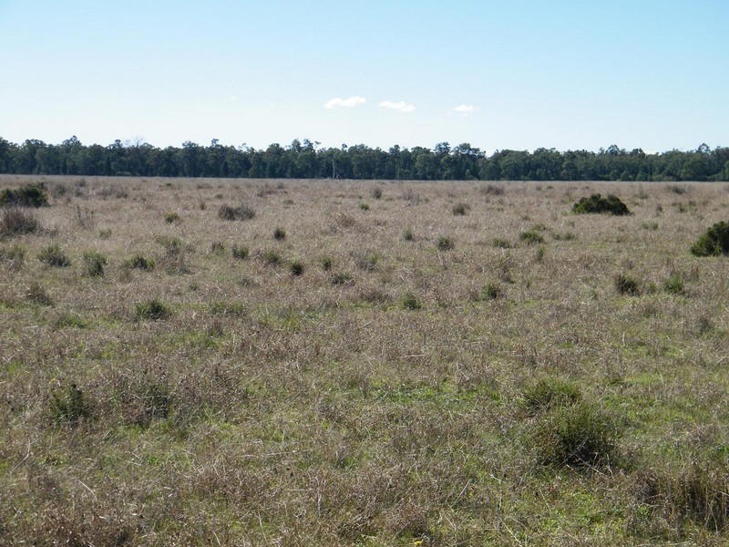 ACEVAN, QUIRINDI /, Gunnedah NSW 2380