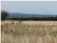 High Range, 92 Davis Road, Narrabri NSW 2390