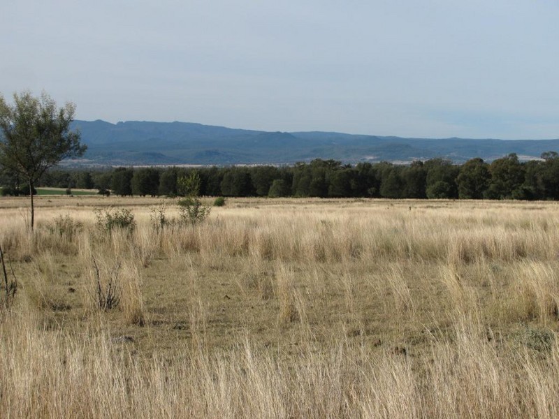 High Range, 92 Davis Road, Narrabri NSW 2390