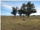 High Range, 92 Davis Road, Narrabri NSW 2390