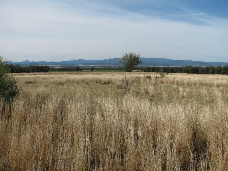 High Range, 92 Davis Road, Narrabri NSW 2390