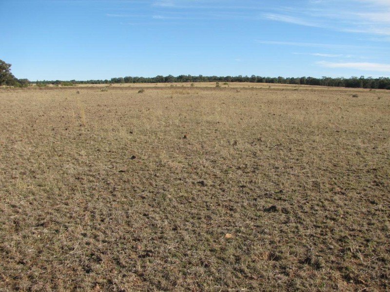 High Range, 92 Davis Road, Narrabri NSW 2390