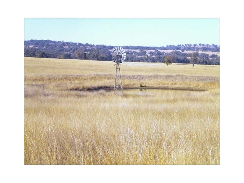 Coonabarabran NSW 2357