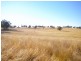 Coonabarabran NSW 2357