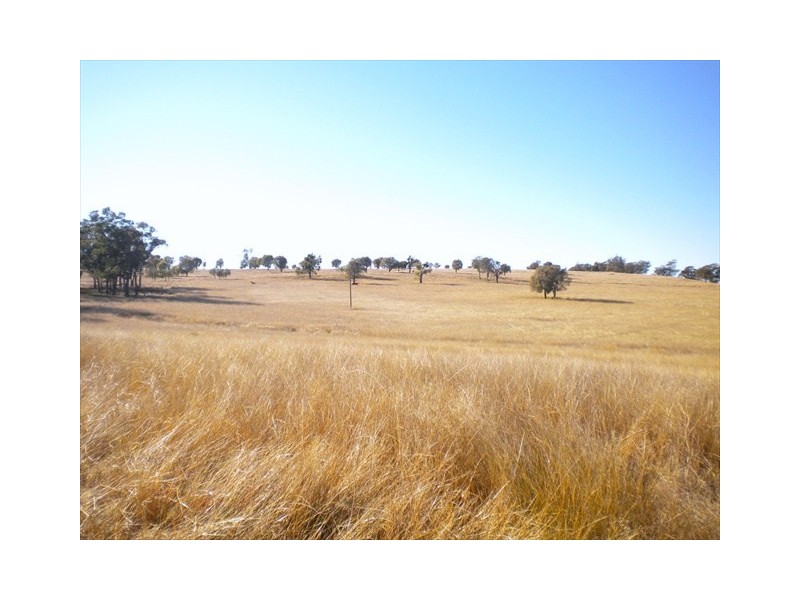 Coonabarabran NSW 2357