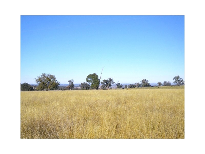 Coonabarabran NSW 2357