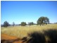 Coonabarabran NSW 2357