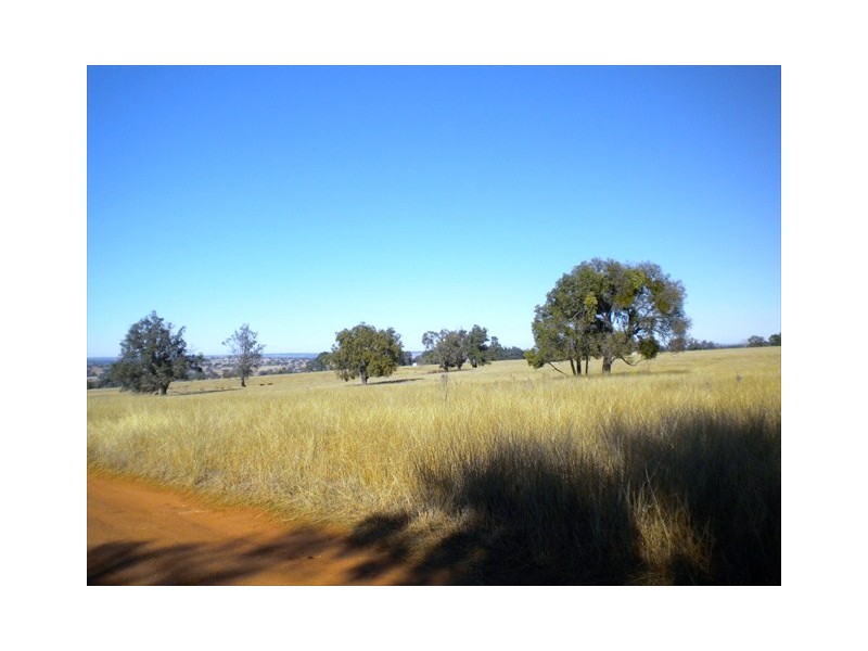 Coonabarabran NSW 2357