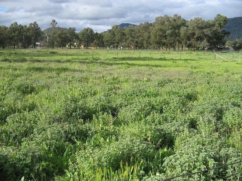 160 Maunder Street, Moonbi NSW 2353