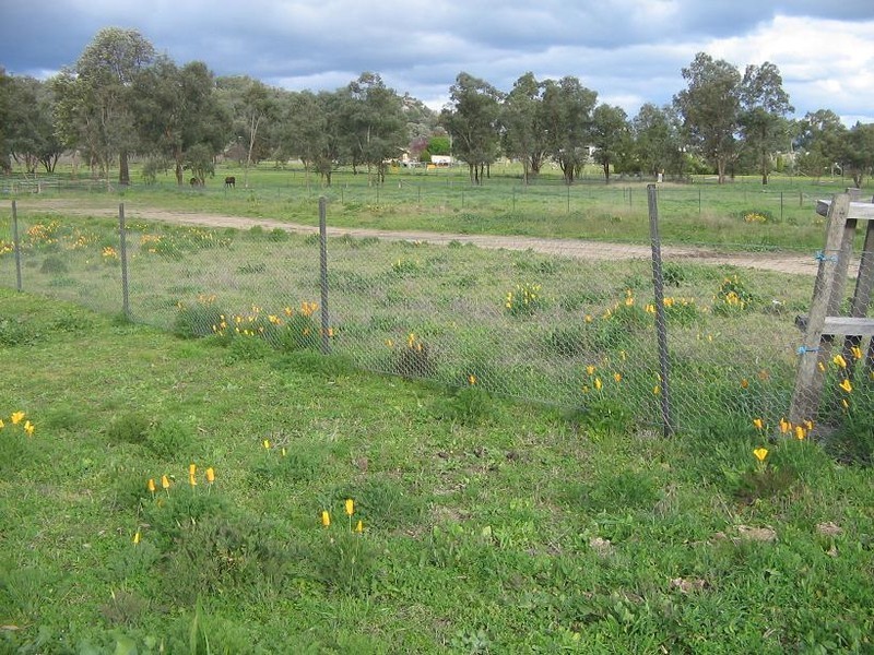 160 Maunder Street, Moonbi NSW 2353