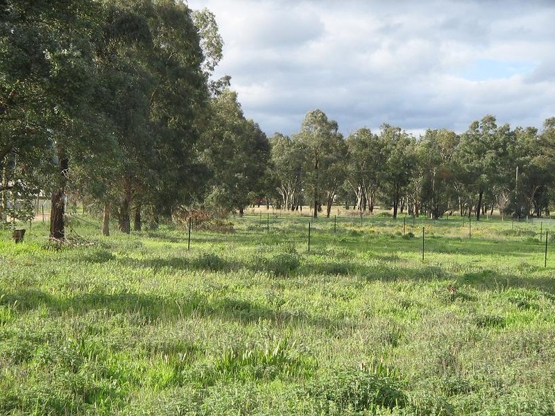 160 Maunder Street, Moonbi NSW 2353