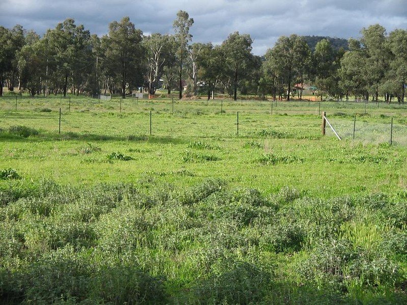 160 Maunder Street, Moonbi NSW 2353