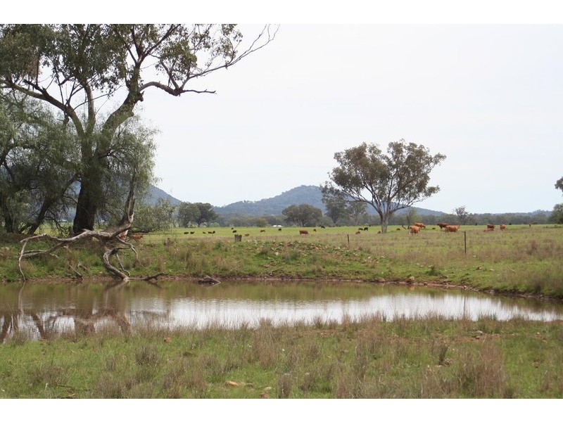 ARDROSS, TAMWORTH /, Quirindi NSW 2343