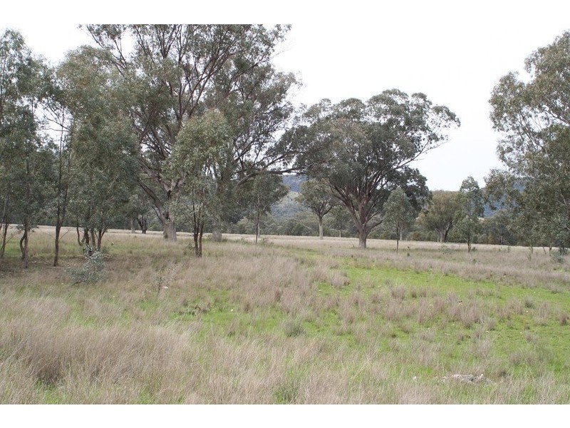 ARDROSS, TAMWORTH /, Quirindi NSW 2343