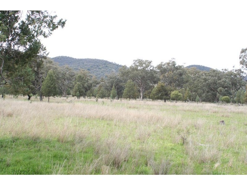 ARDROSS, TAMWORTH /, Quirindi NSW 2343