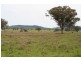 ARDROSS, TAMWORTH /, Quirindi NSW 2343