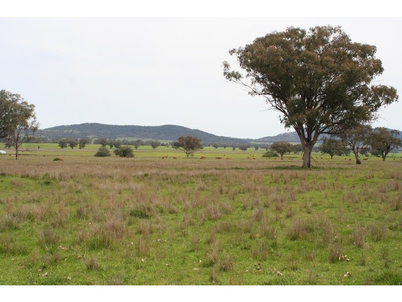 ARDROSS, TAMWORTH /, Quirindi NSW 2343