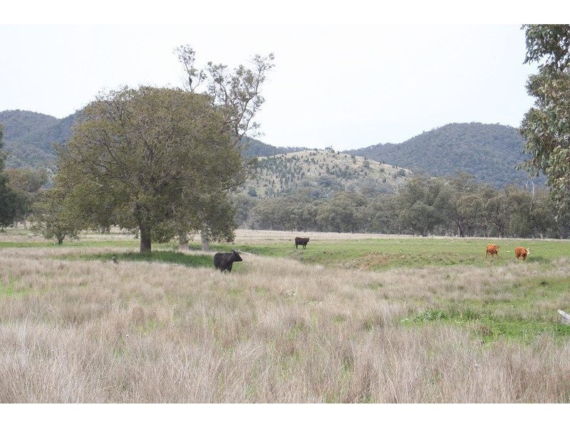 ARDROSS, TAMWORTH /, Quirindi NSW 2343