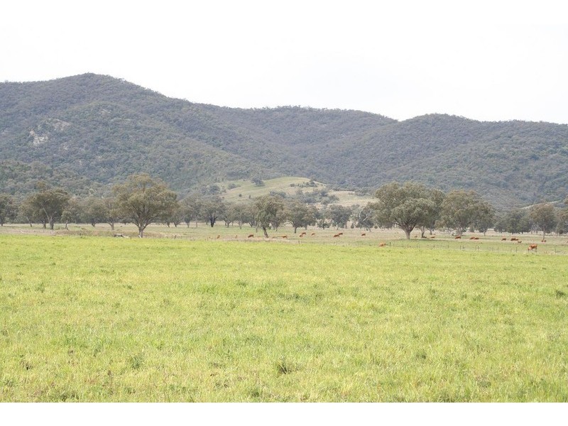ARDROSS, TAMWORTH /, Quirindi NSW 2343