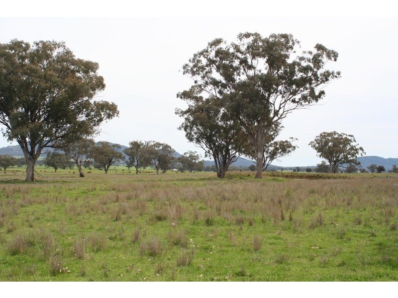 ARDROSS, QUIRINDI /, Tamworth NSW 2340