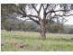 ARDROSS, QUIRINDI /, Tamworth NSW 2340