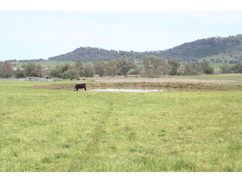 ARDROSS, QUIRINDI /, Tamworth NSW 2340