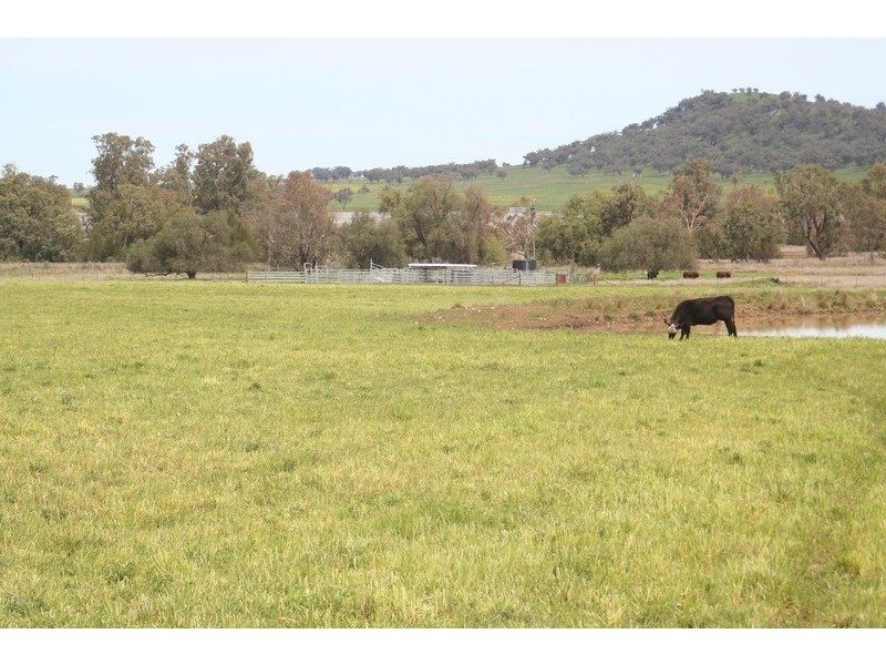 ARDROSS, QUIRINDI /, Tamworth NSW 2340